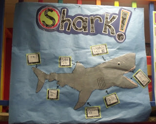 Ocean Unit of Fun!