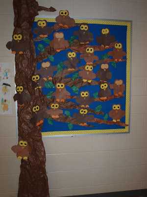 Owls and Veteran's Day