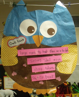 Owls and Veteran's Day