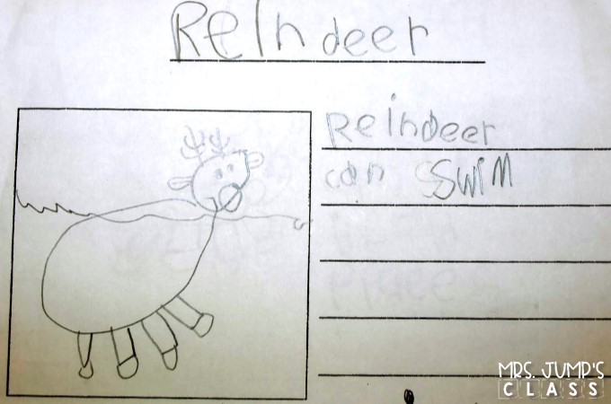 Reindeer Lesson Plans with informational text Free file. Includes crafts, writing, reading and more for your kindergarten lessons or first grade lessons.