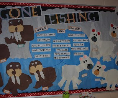 Arctic Animals Fun!