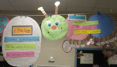 Butterflies and vocabulary