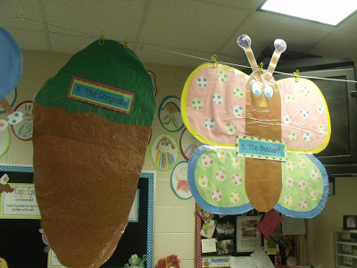 Butterflies and vocabulary