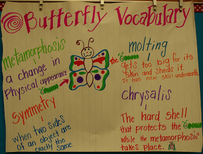 Butterflies and vocabulary