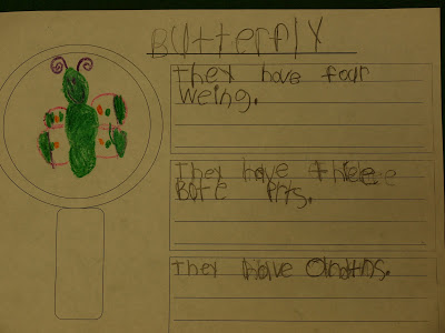 Butterflies and vocabulary