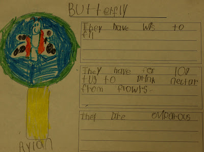 Butterflies and vocabulary