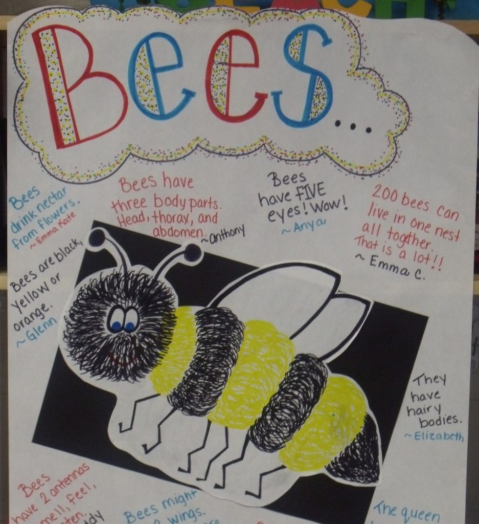Insect Learning Fun, Freebies and a Sale!