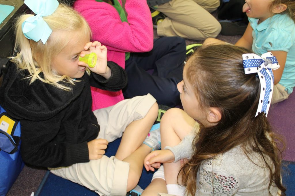 Insect Learning Fun, Freebies and a Sale!