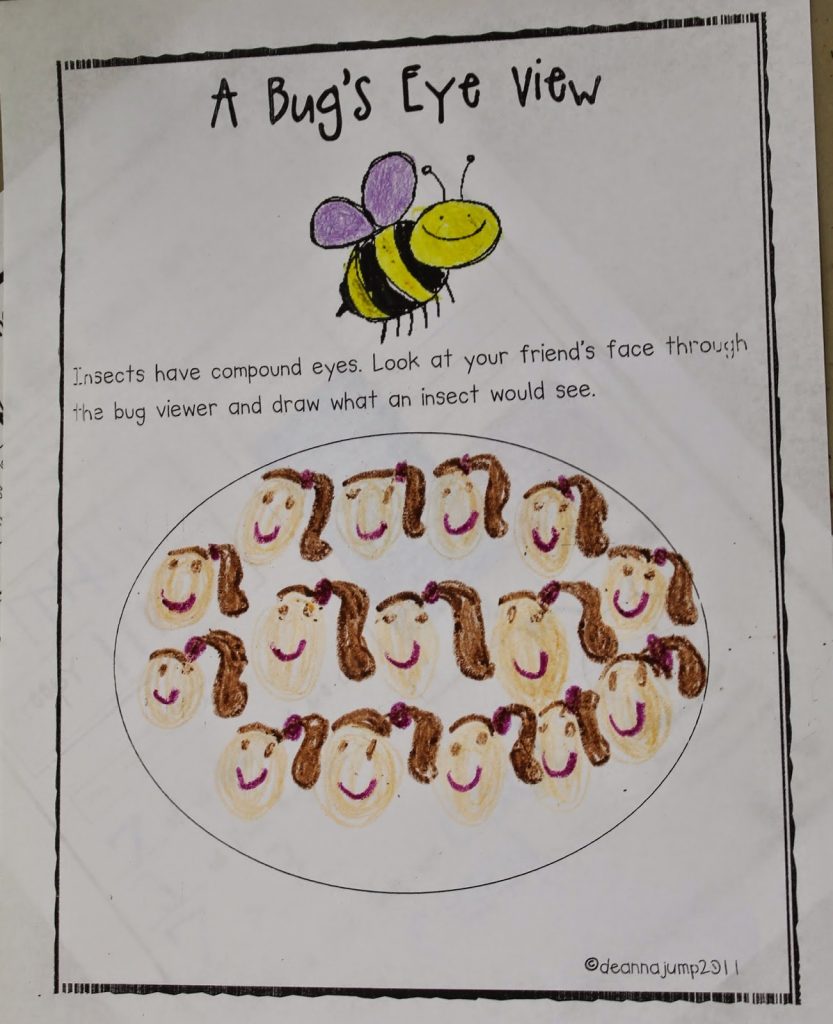 Insect Learning Fun, Freebies and a Sale!