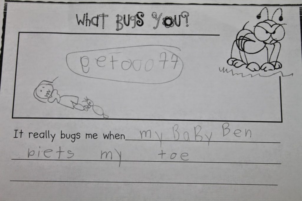 Insect Learning Fun, Freebies and a Sale!