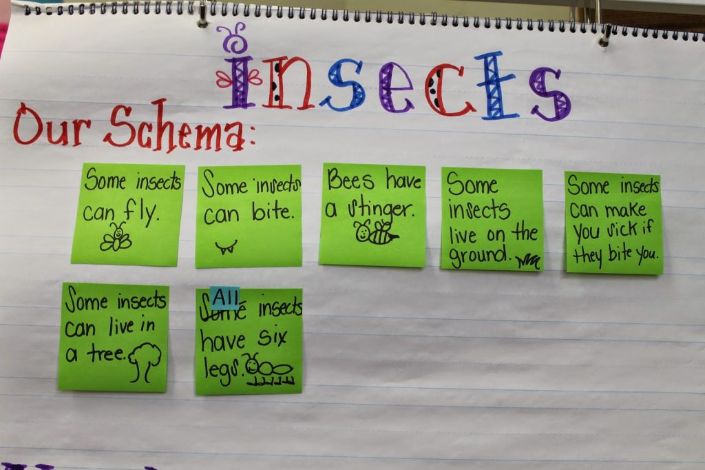 Insect Learning Fun, Freebies and a Sale!