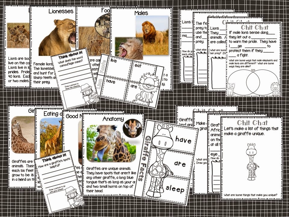Chit Chat Messages, Close Reading Passages & More!  Giveaway