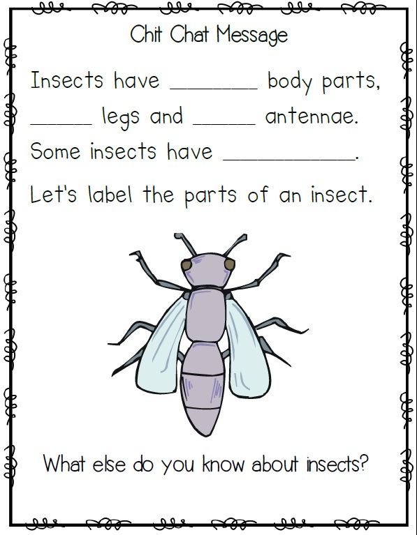 Insect Learning Fun, Freebies and a Sale!