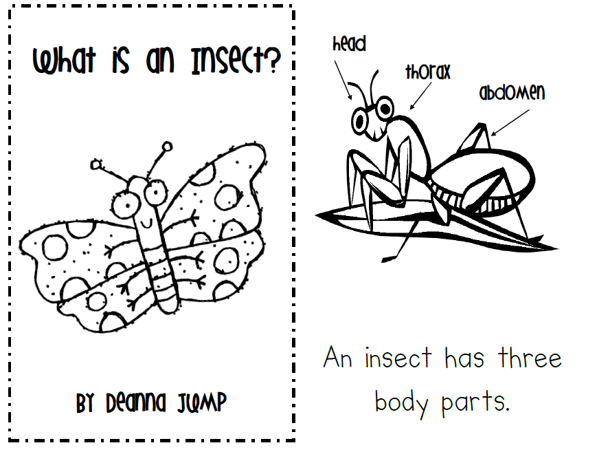 Insect Learning Fun, Freebies and a Sale!