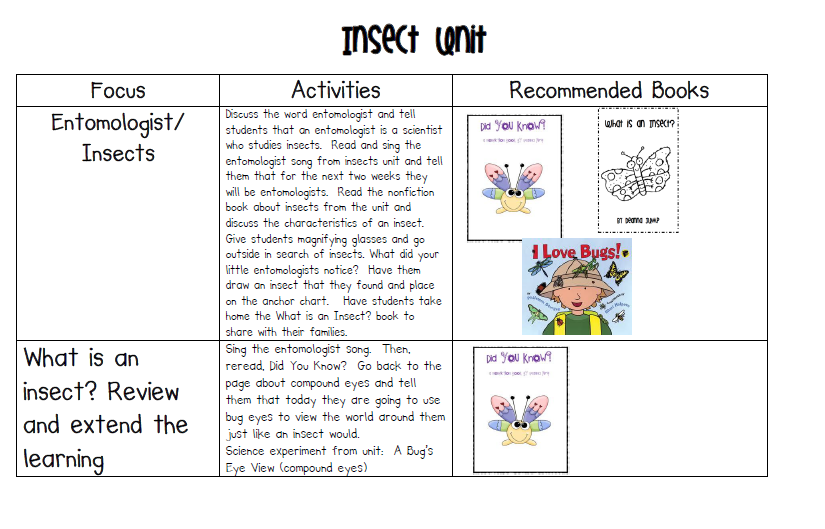 Insect Learning Fun, Freebies and a Sale!