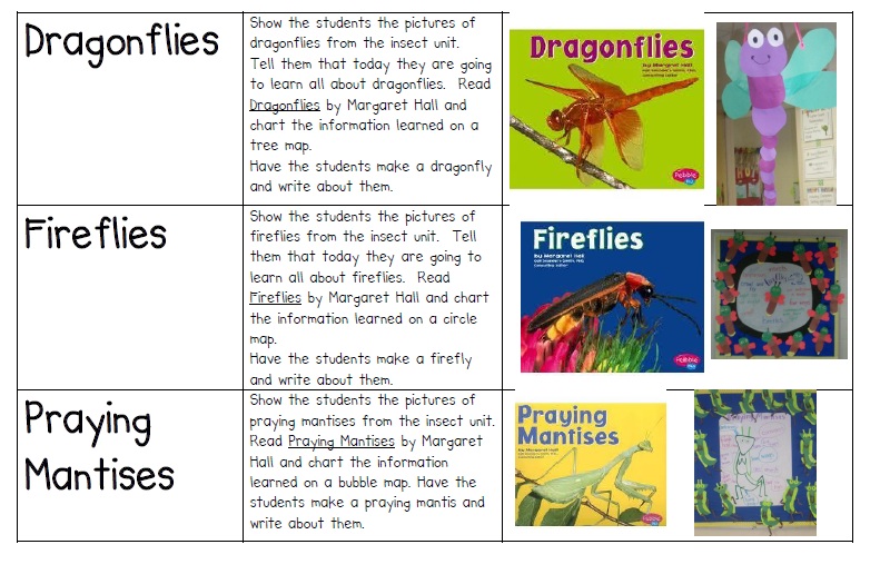 Insect Learning Fun, Freebies and a Sale!
