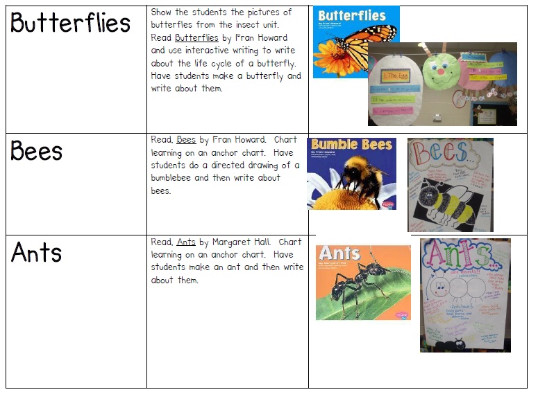 Insect Learning Fun, Freebies and a Sale!