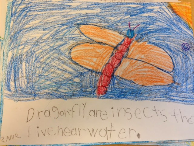 Insect Learning Fun, Freebies and a Sale!