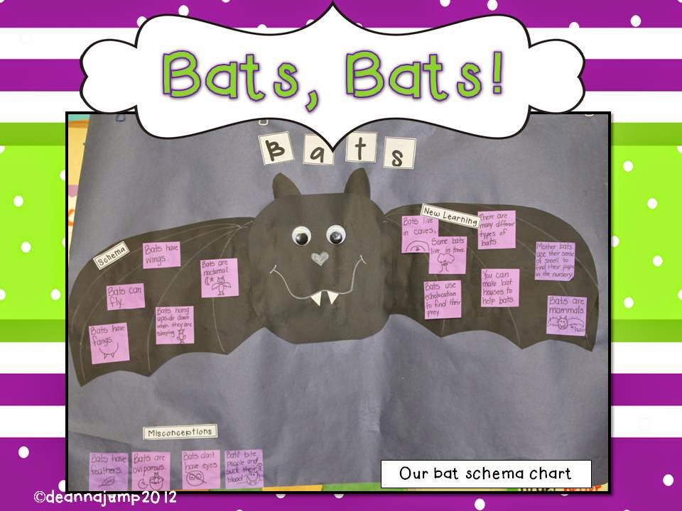 Batty Over Bats!