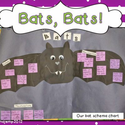 Batty Over Bats!