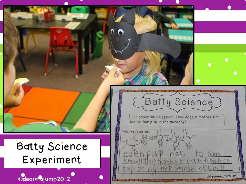 Batty Science Experiment