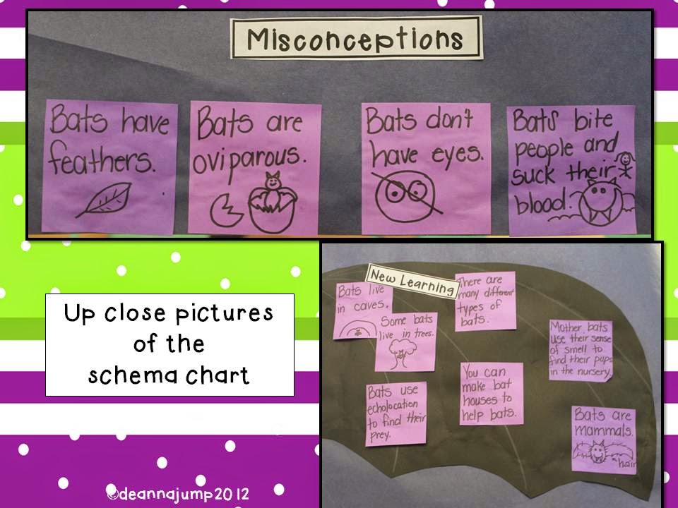 Bat Schema Chart