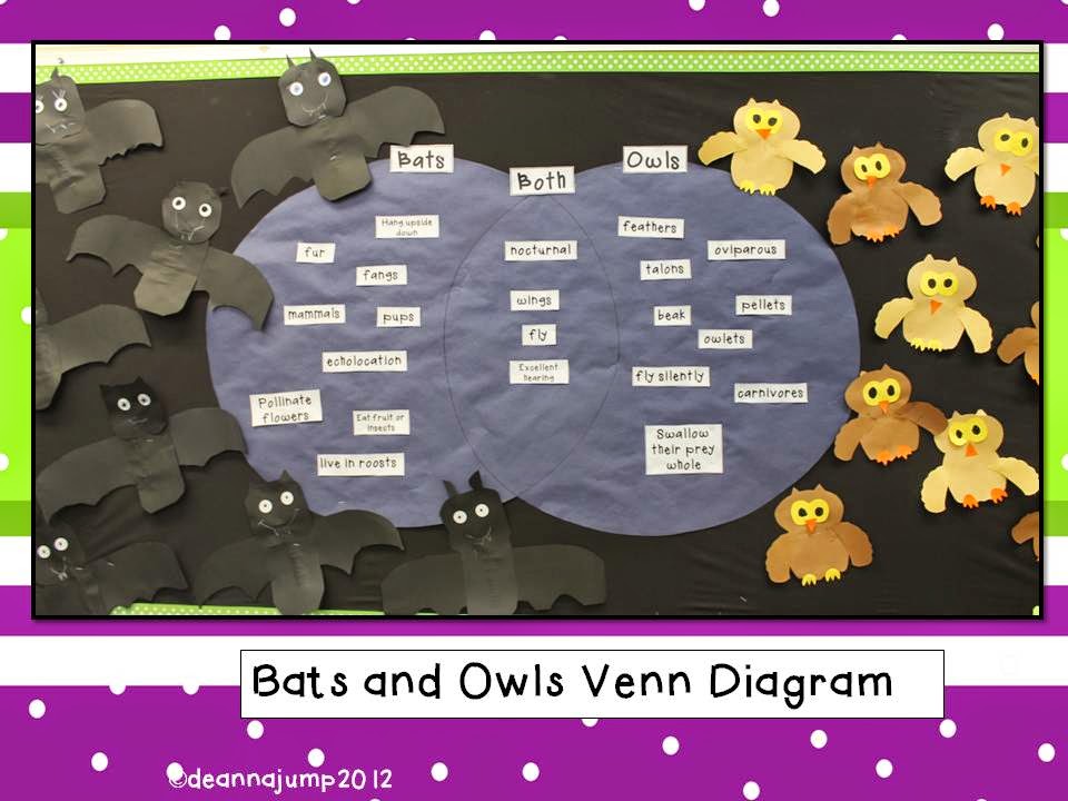 Bat Schema Chart