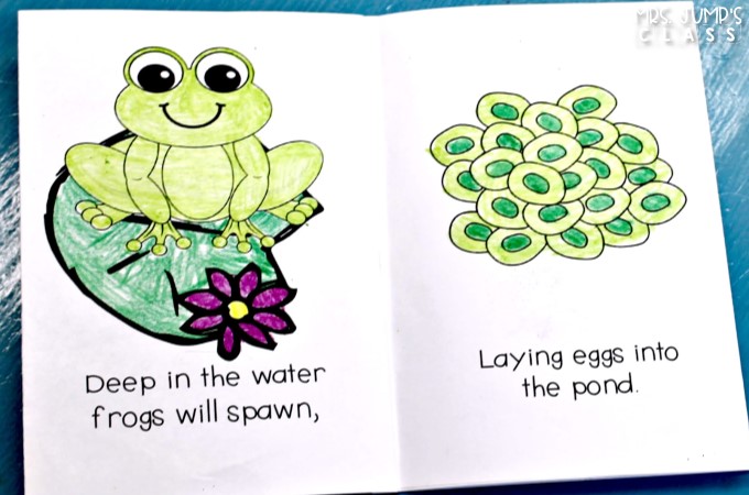 Fun frog lesson plans in a nonfiction unit about frogs. Students read and write about frogs, play math and literacy games, and create a craft, too!