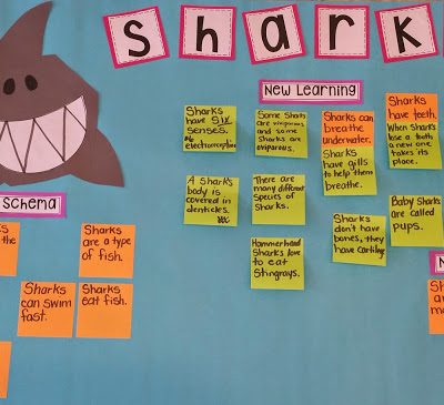 Shark Schema Chart: Teaching with Intention!