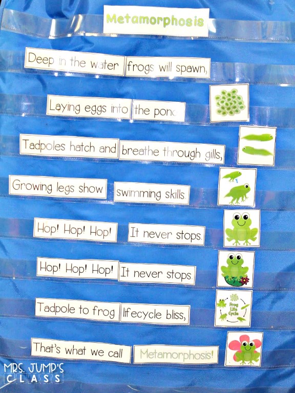Fun frog lesson plans in a nonfiction unit about frogs. Students read and write about frogs, play math and literacy games, and create a craft, too!