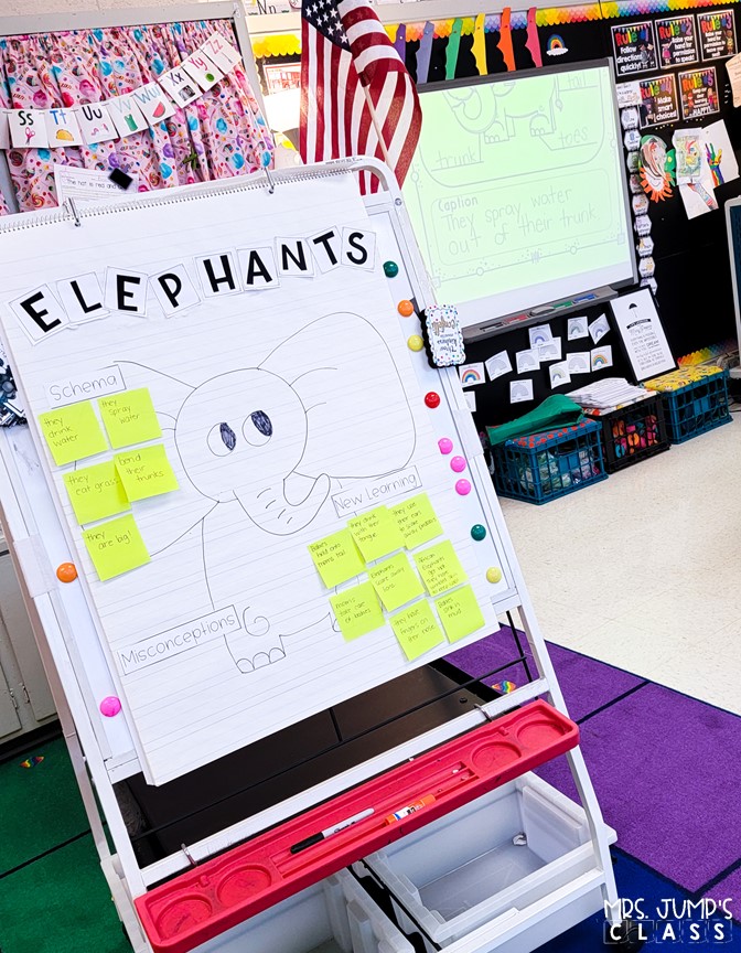 African animal activities that are perfect for a zoo unit! Your students will love learning about African animals with these nonfiction book activities. Engaging reading lessons about lions, giraffes, elephants, and meerkats.