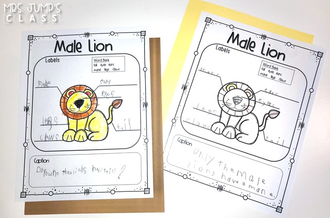 African animal activities that are perfect for a zoo unit! Your students will love learning about African animals with these nonfiction book activities. Engaging reading lessons about lions, giraffes, elephants, and meerkats.