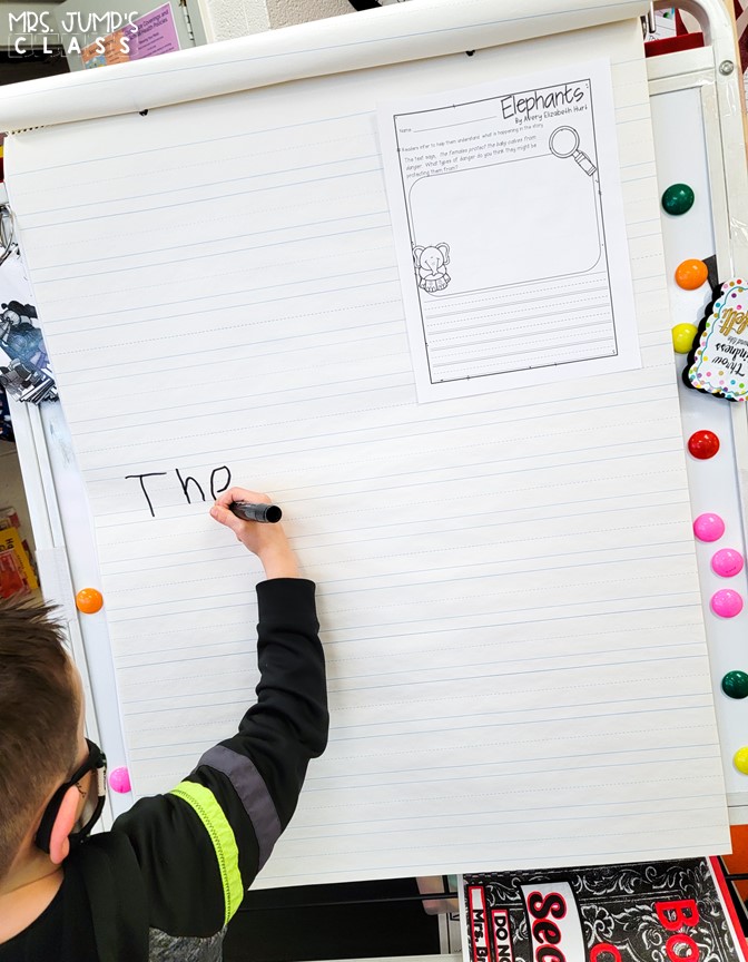 African animal activities that are perfect for a zoo unit! Your students will love learning about African animals with these nonfiction book activities. Engaging reading lessons about lions, giraffes, elephants, and meerkats.