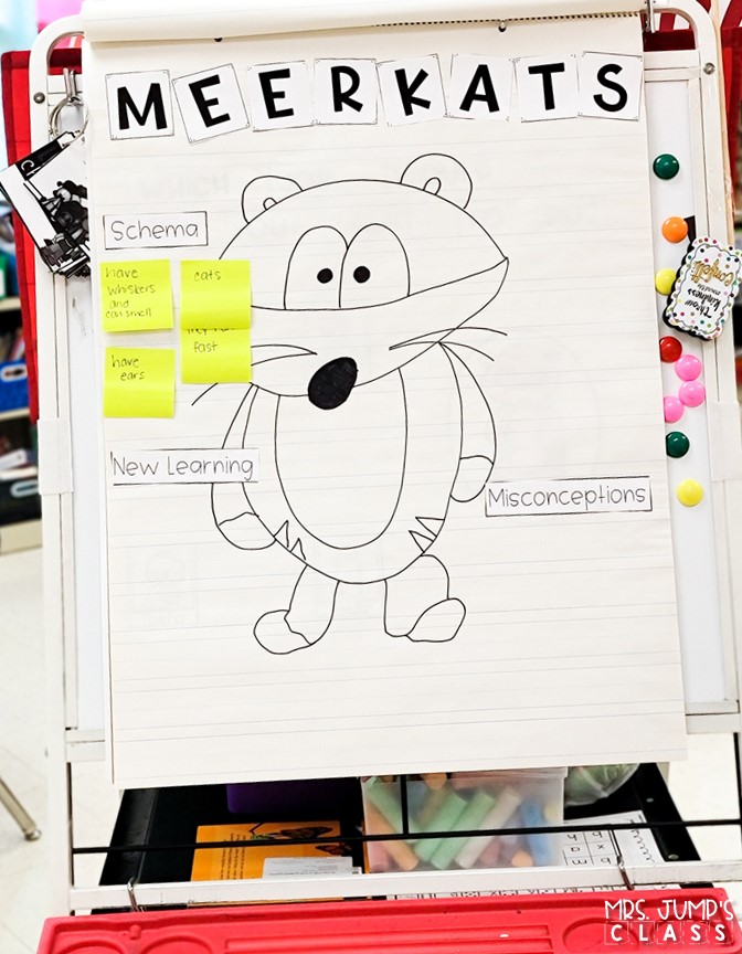African animal activities that are perfect for a zoo unit! Your students will love learning about African animals with these nonfiction book activities. Engaging reading lessons about lions, giraffes, elephants, and meerkats.