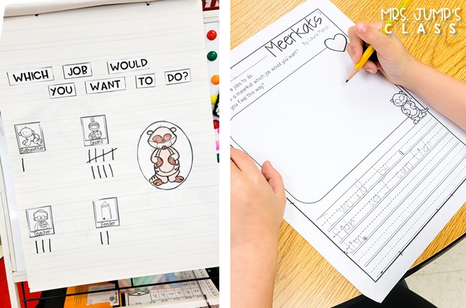 Your students will love learning about African animals with these nonfiction book activities. Engaging reading lessons about lions, giraffes, elephants, and meerkats. Great for a zoo unit!