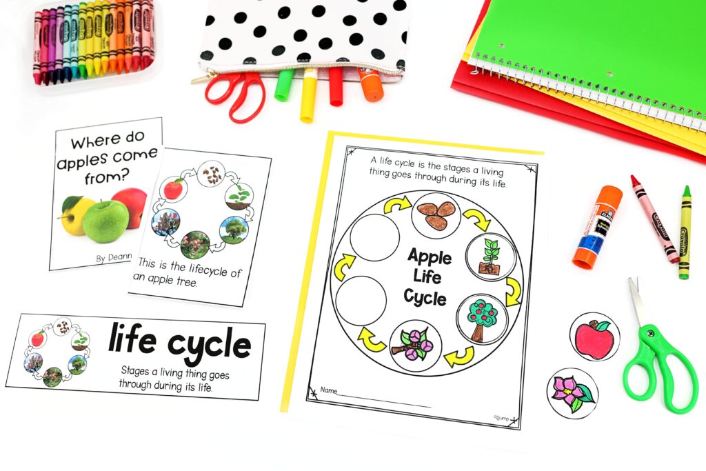 Apple life cycle reader and printable activity