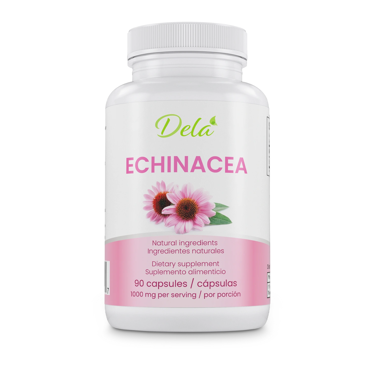 Echinacea
