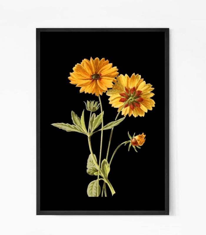 Vibrant Peaceful Sunflower Wall Art
