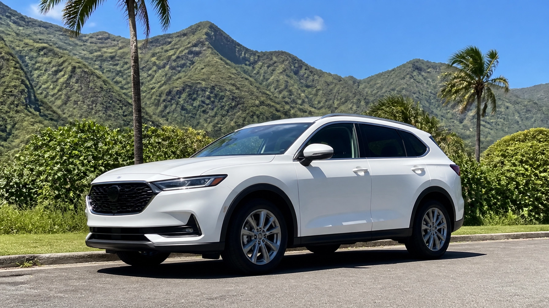 White SUV parked on roadside with mountain background and palm trees.