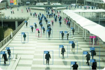 Image & Sound Recognition