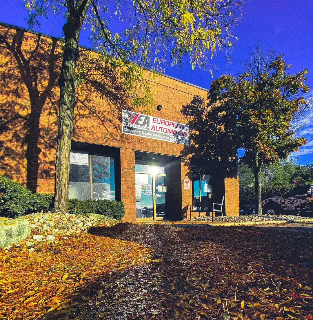 European Automotive service center with fall foliage outside.