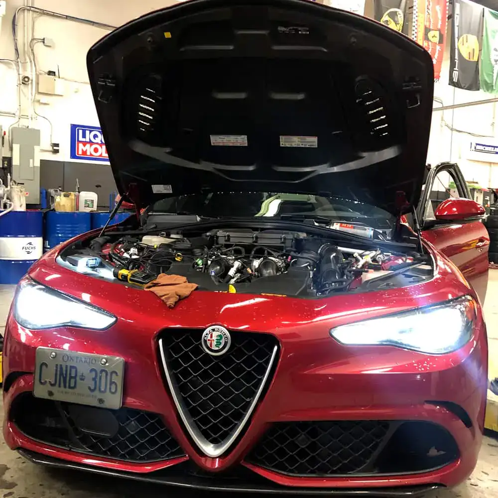 Gallery-Alfa-1