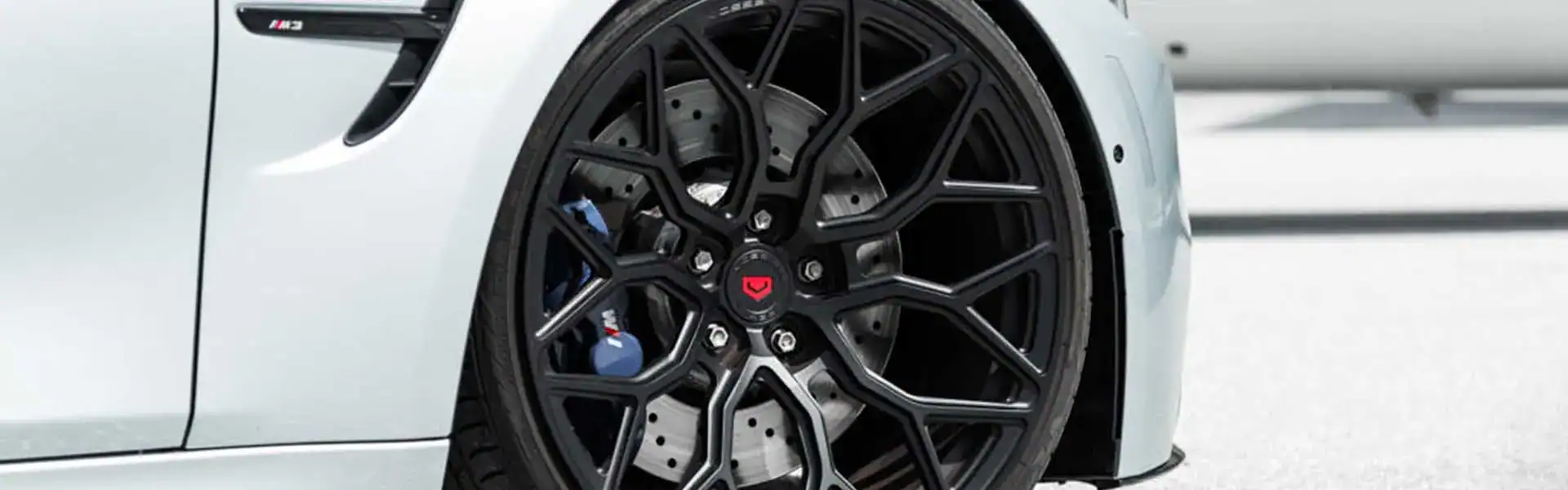 Vossen
