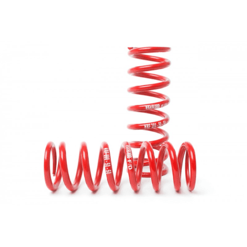 H&R-2.00 I.D. Race Springs (1)