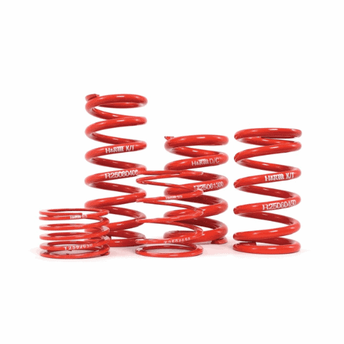 H&R-2.50” I.D. Race Springs (1)