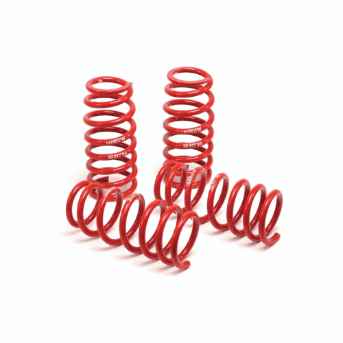 H&R-Race Springs (1)