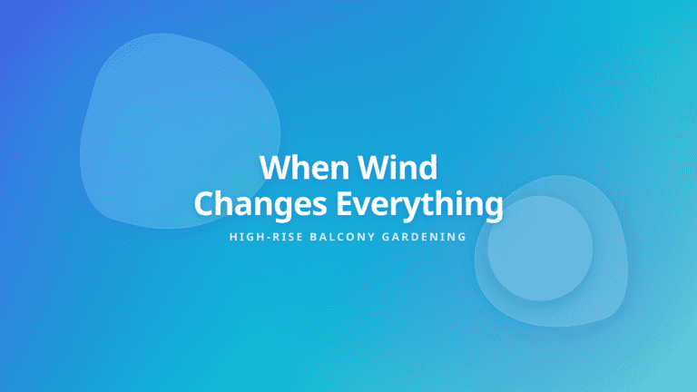 Balcony Gardening Wind Effects - High-rise plants facing wind mechanics