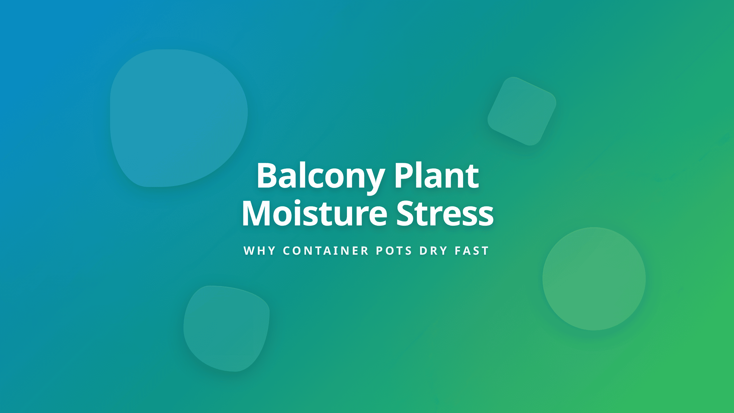 Balcony Plant Watering Guide - Why Containers Dry Out Faster Than In-Ground Gardens