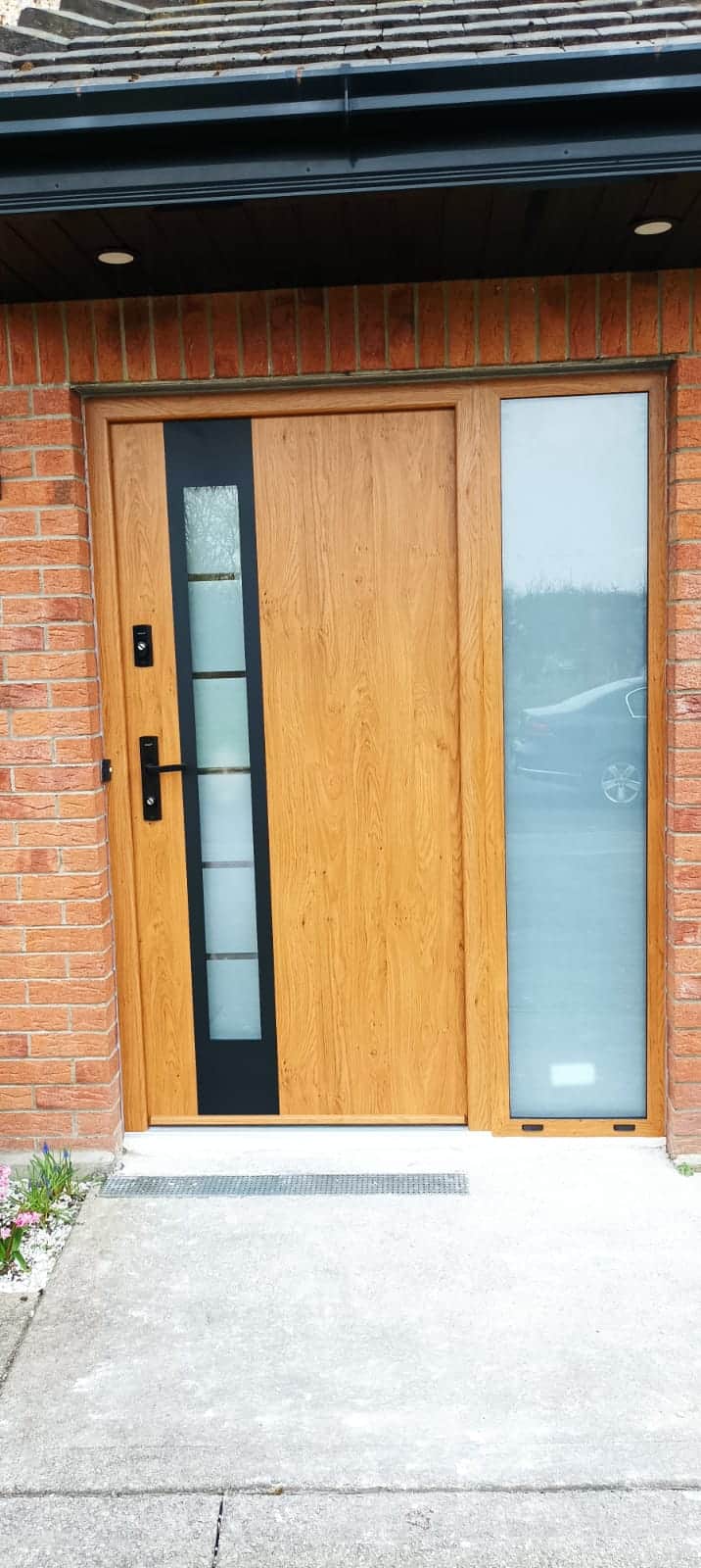 Steel door Optimum Termo 30A  | Co. Limerick | #82