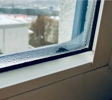 Foggy windows? 12 ways to get rid of window condensation